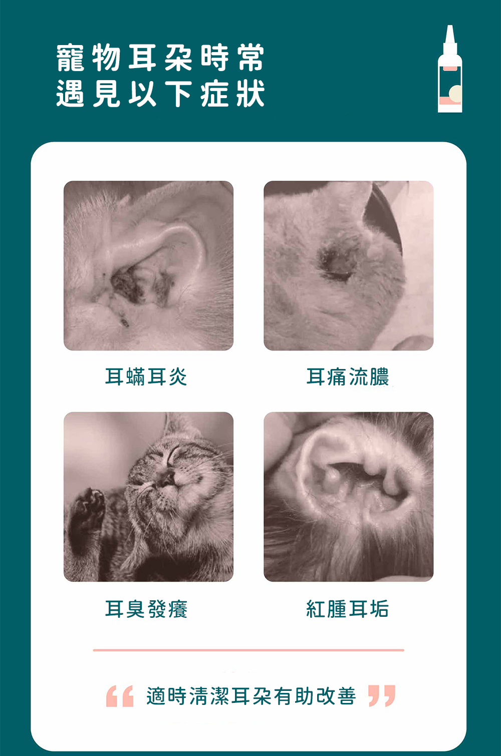 寵物常見耳朵症狀